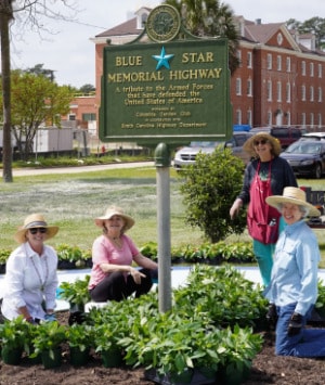 Blue Star Marker